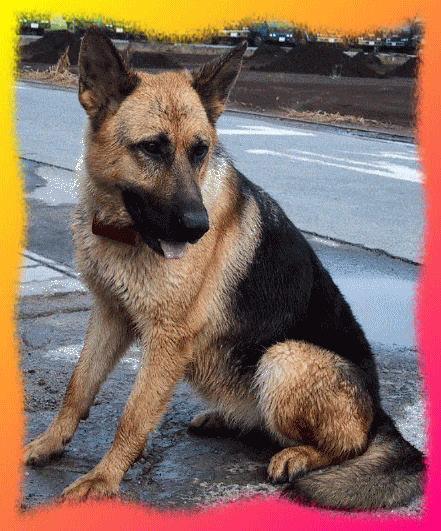�C���^�[�l�b�g�Z�L�����e�B�[���A���b�L�[